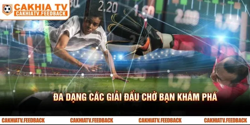 Đa dạng các giải đấu chờ bạn khám phá tại Cakhiatv